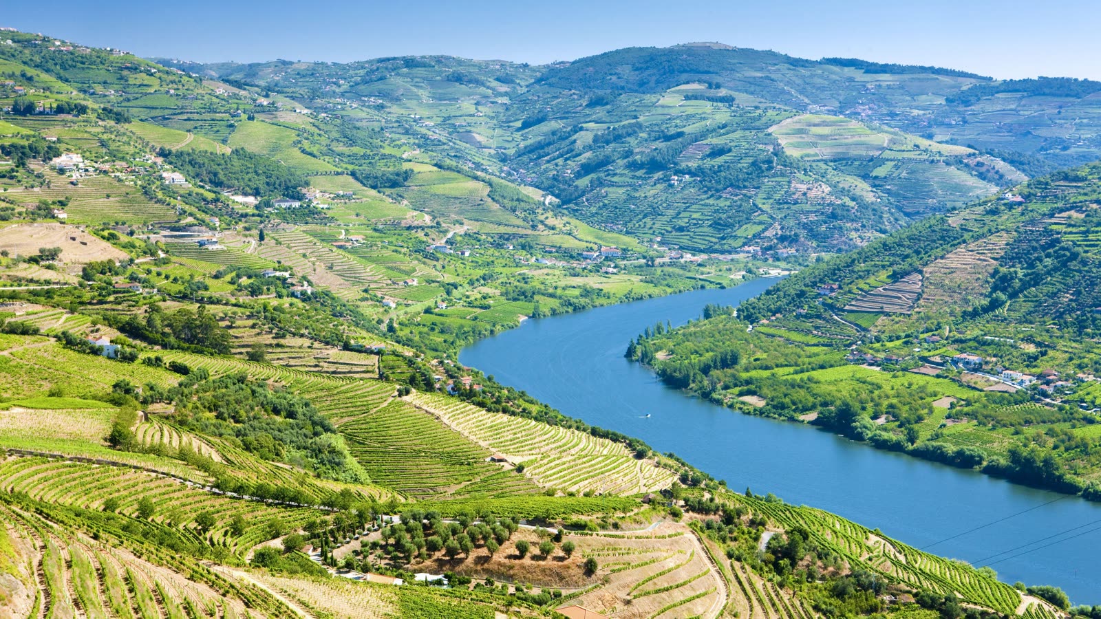 Douro Valley vineyards, Portugal  -  wine-country river cruising